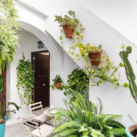 Casa La Fontana 3 Daire Vejer de la Frontera Dış mekan fotoğraf