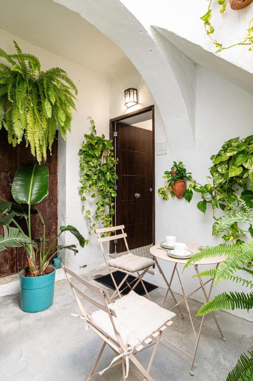 Casa La Fontana 3 Daire Vejer de la Frontera Dış mekan fotoğraf