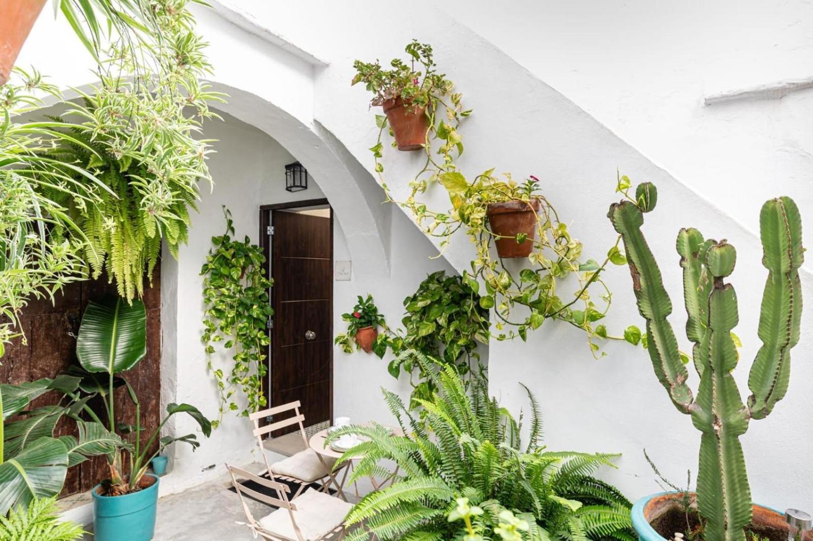Casa La Fontana 3 Daire Vejer de la Frontera Dış mekan fotoğraf